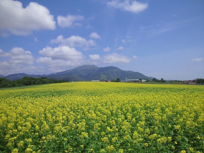 Karimpani Niseko Fujiyama Hostel ภายนอก รูปภาพ